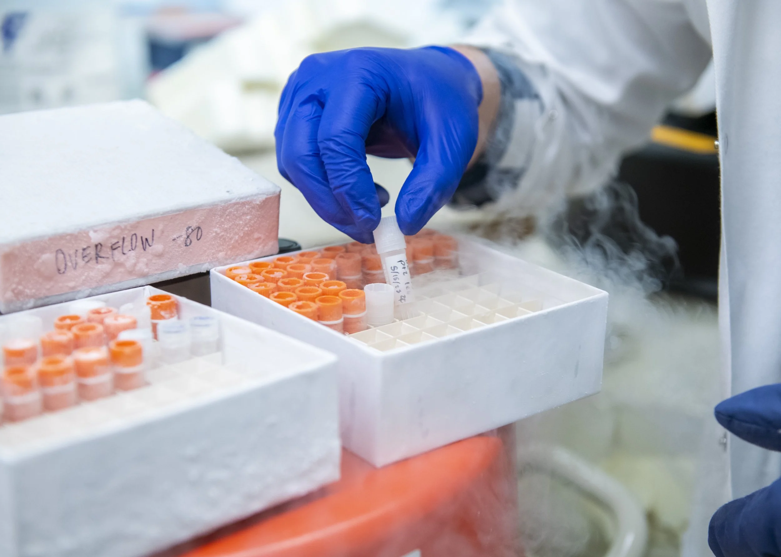 MSTP_641.jpg
