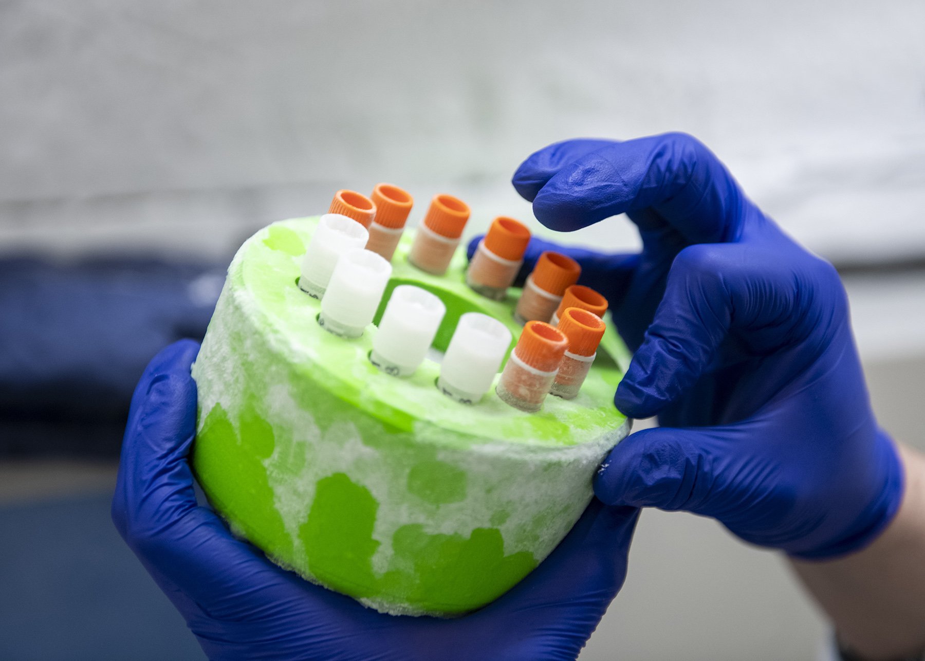 MSTP_588.jpg