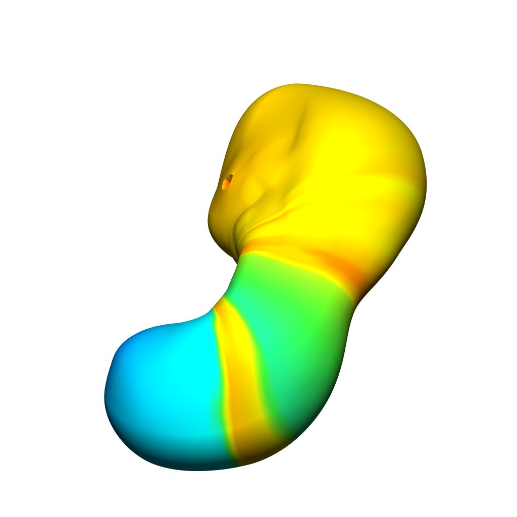 Human gastric slow wave simulation.