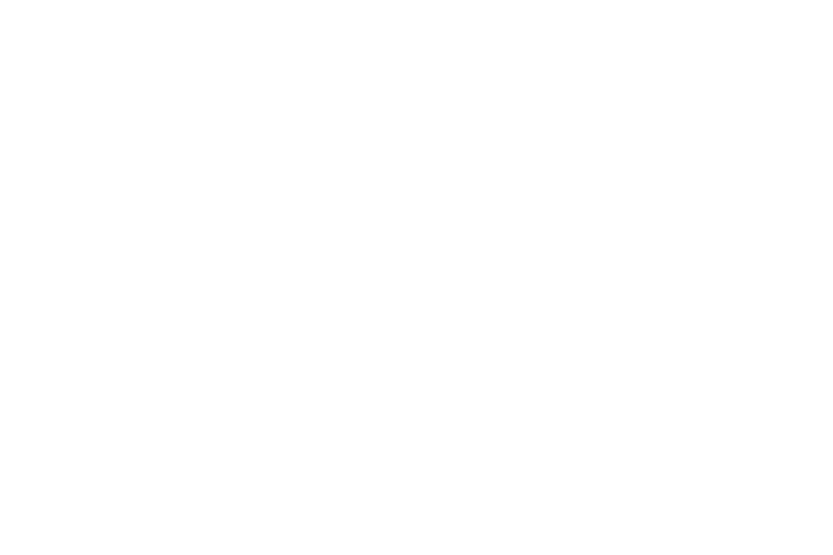 Bruz Beers