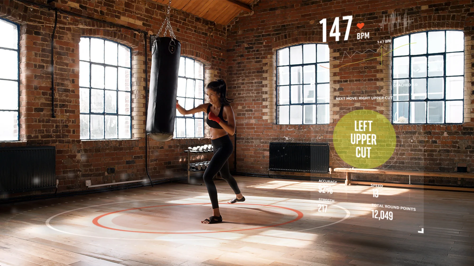 Boxer.jpg