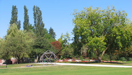 Deer Lake Park 4.jpg