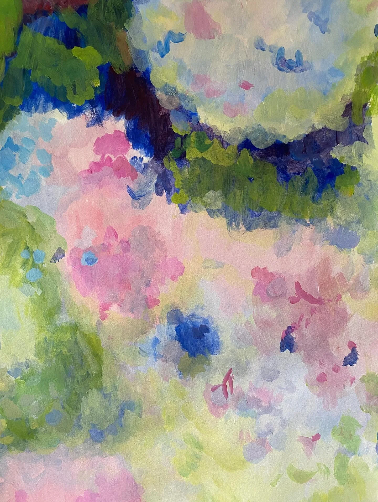 Hortensias 🩷💚 Hydrangeas