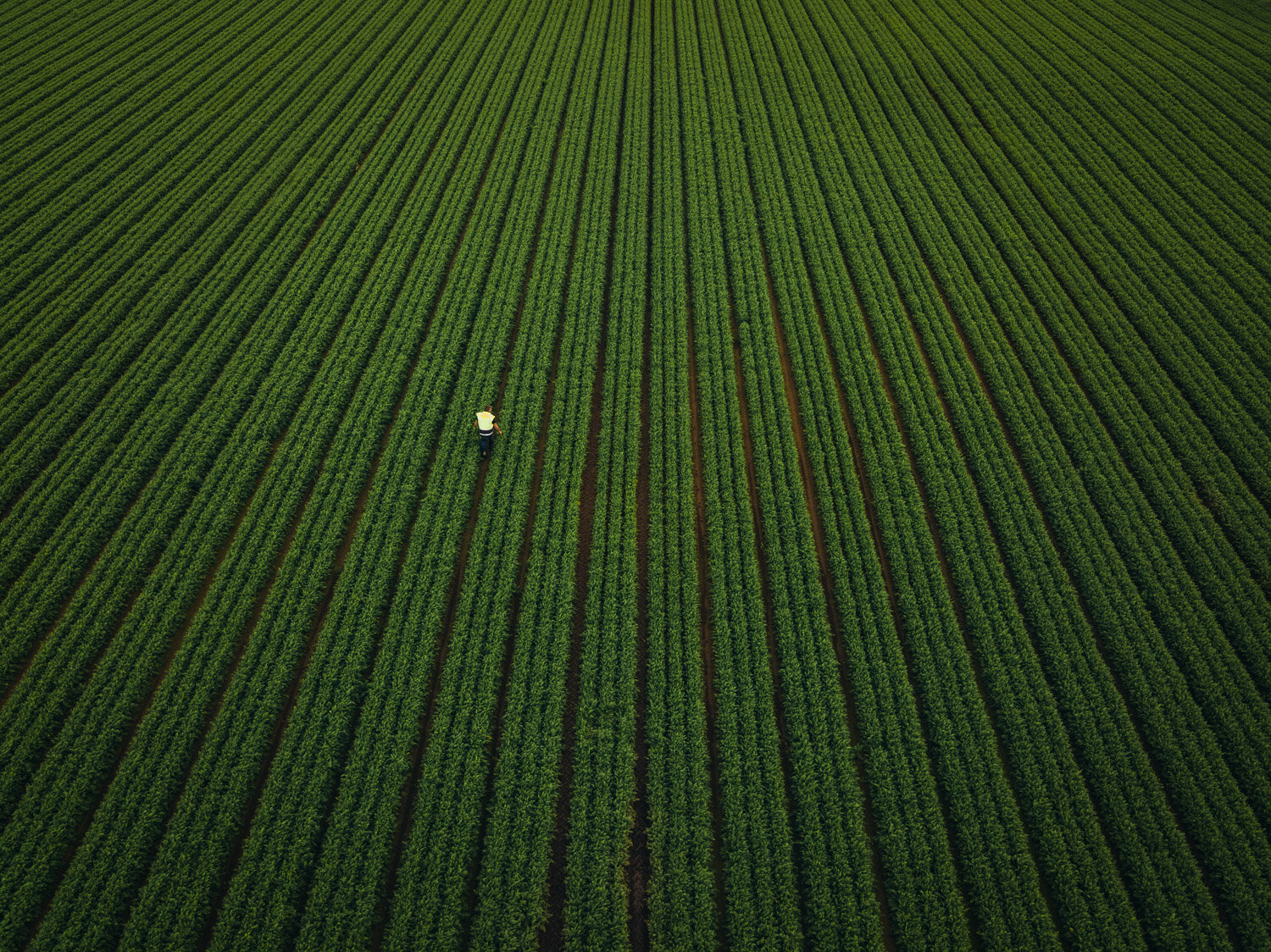 Nic Staveley_NW Pukekohe (Hi Res)DJI_0053-Edit.jpg