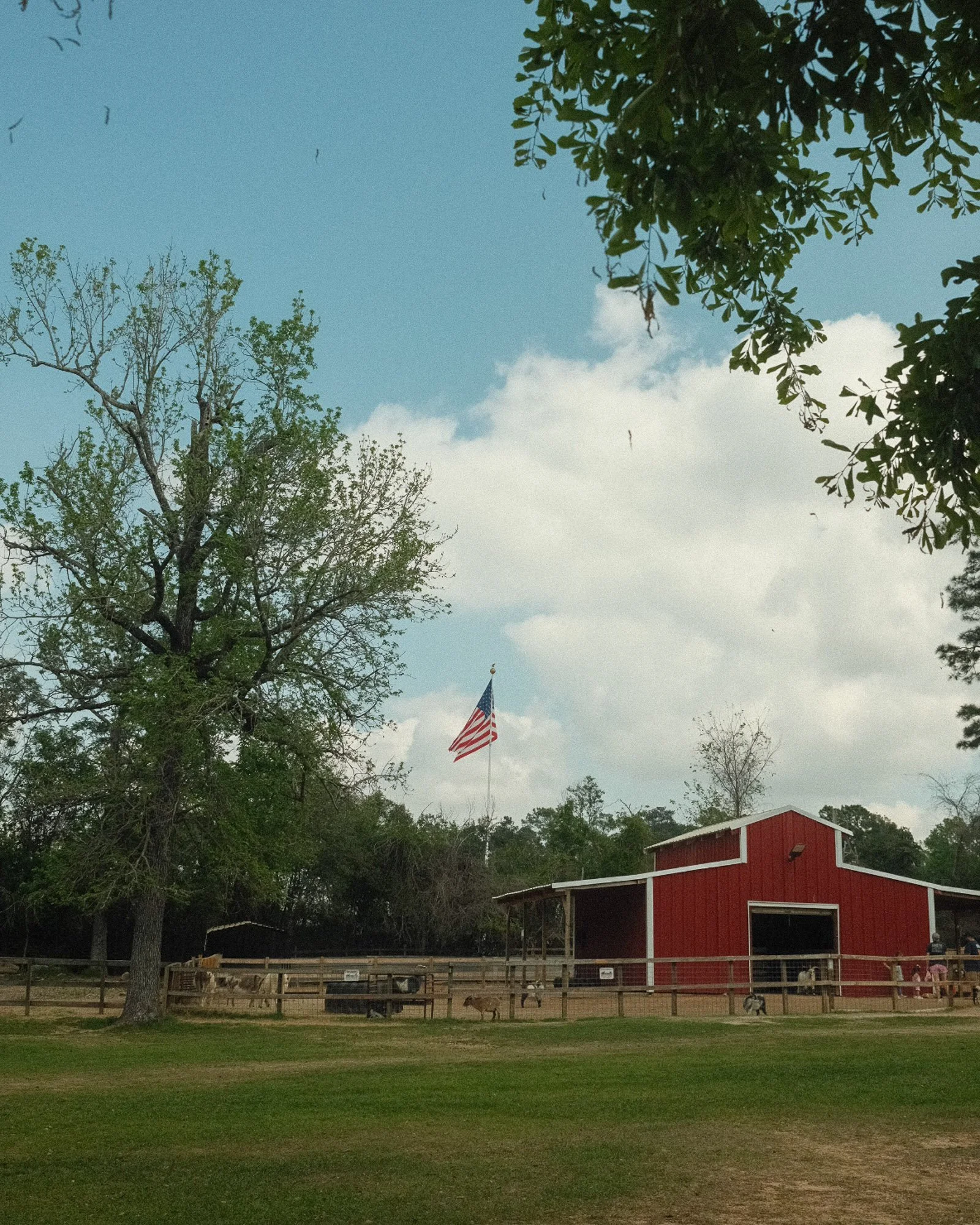 DSCF5865.jpg