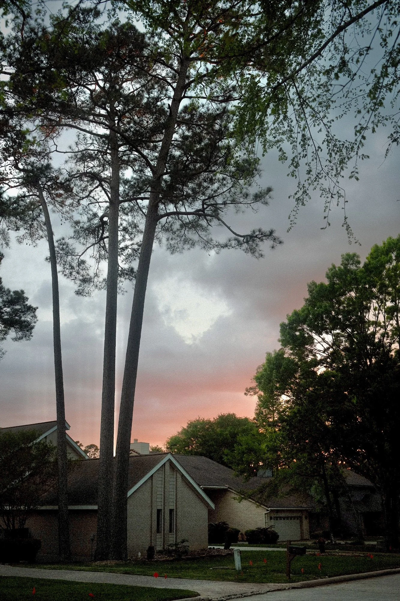 DSCF5892.jpg