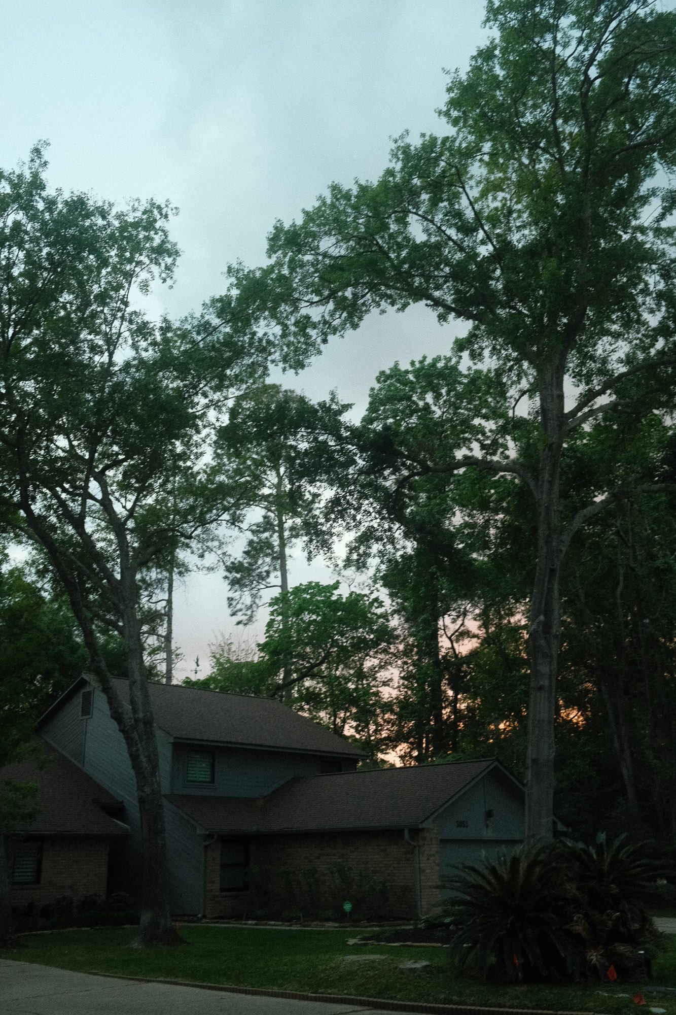 DSCF5893.jpg