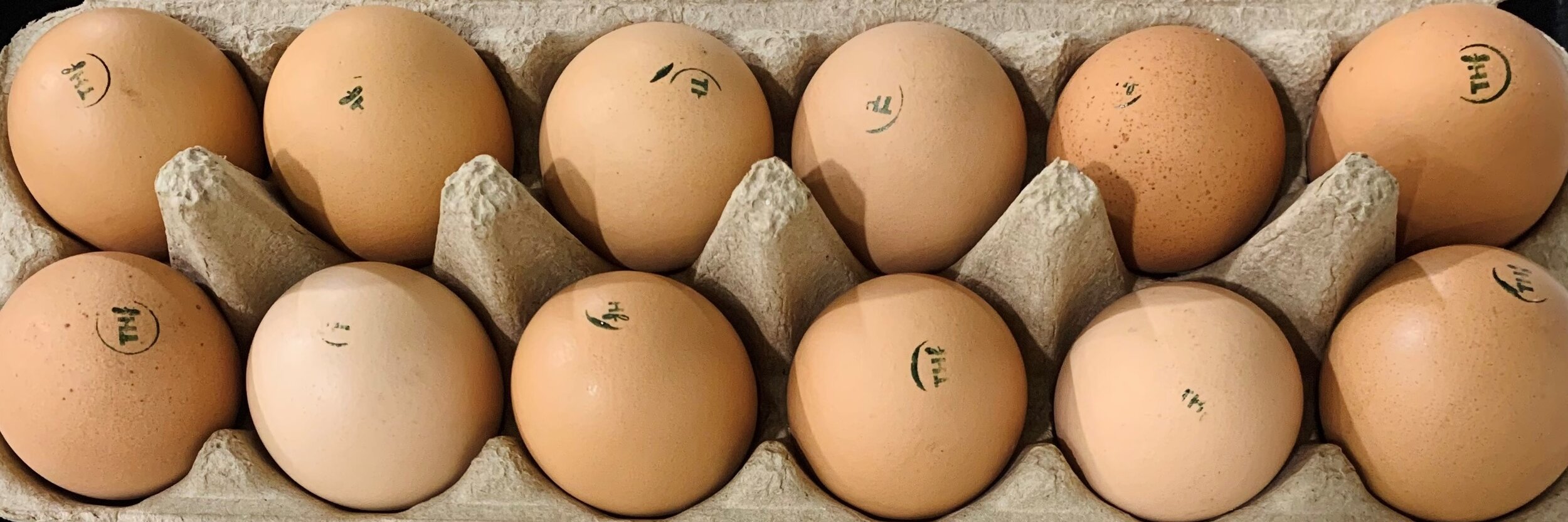 Treeton Eggs.jpg