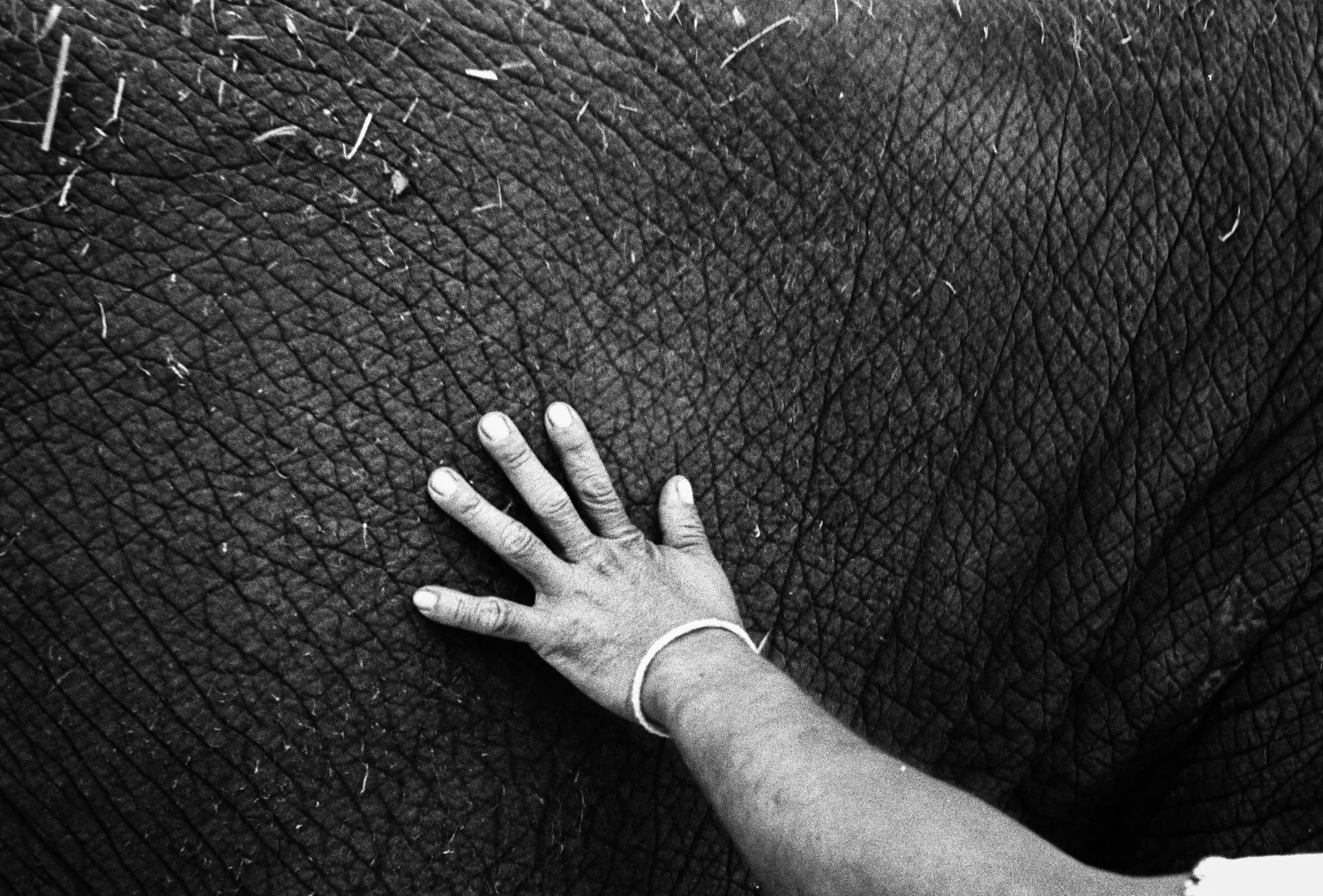 12_Get Lost_Sandra Garcia.JPG