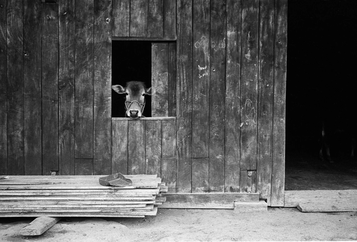 14_Get Lost_Sandra Garcia.JPG