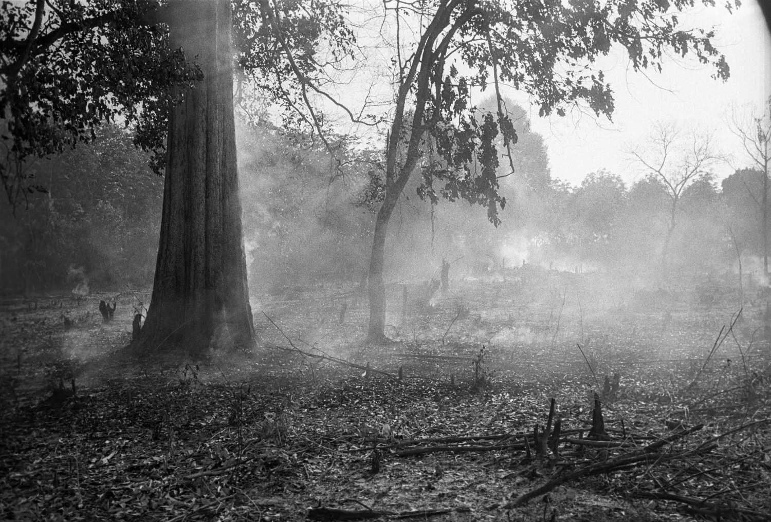 10_Get Lost_Sandra Garcia.JPG