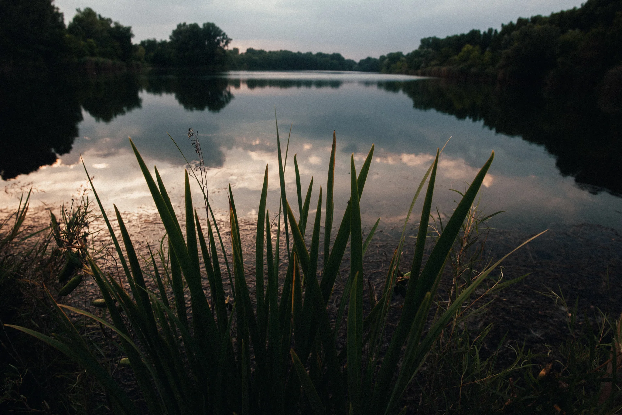 zuf2018jun_039.jpg