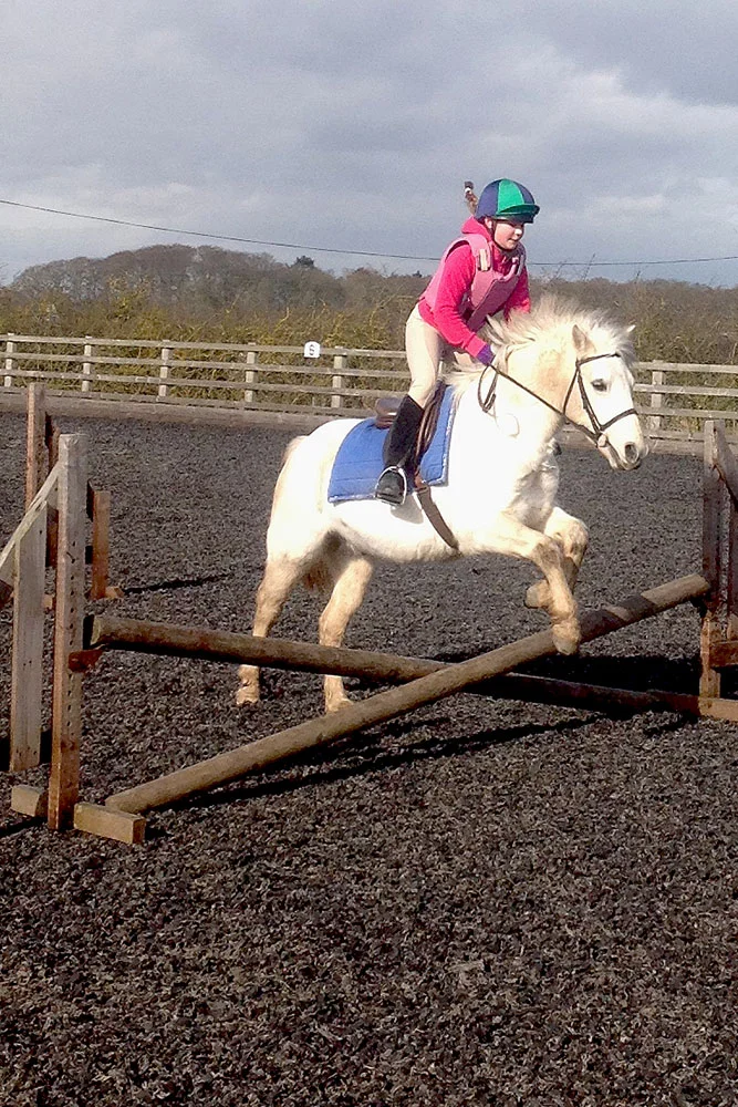 york-pony-riding-lessons.jpg