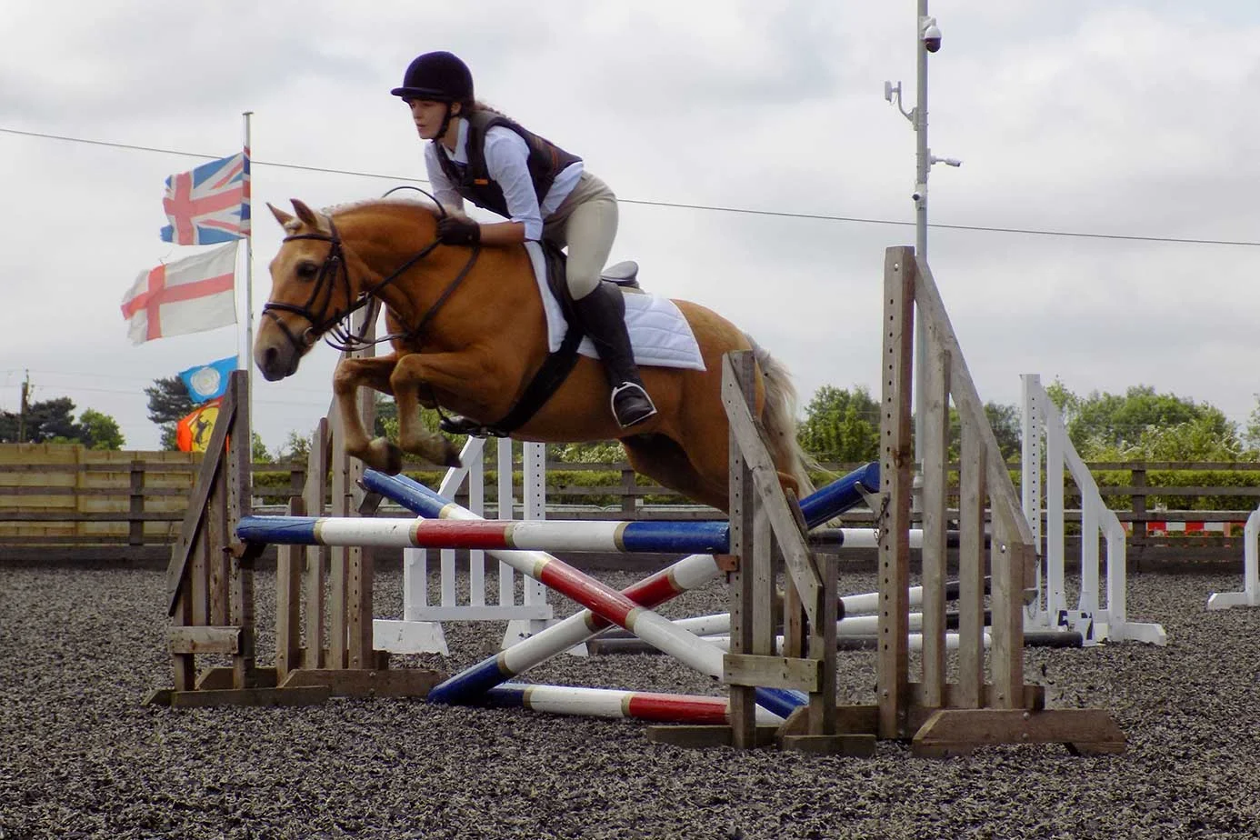 horse-rider-trainer-york.jpg
