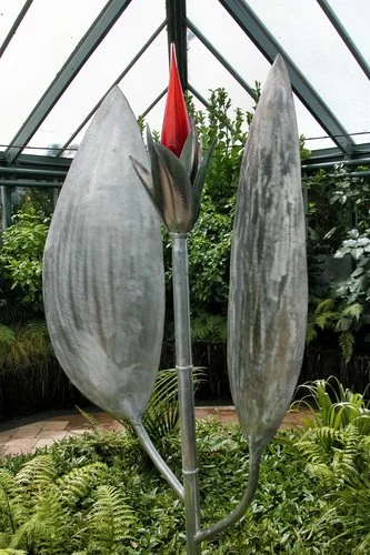 Modification (2008)
