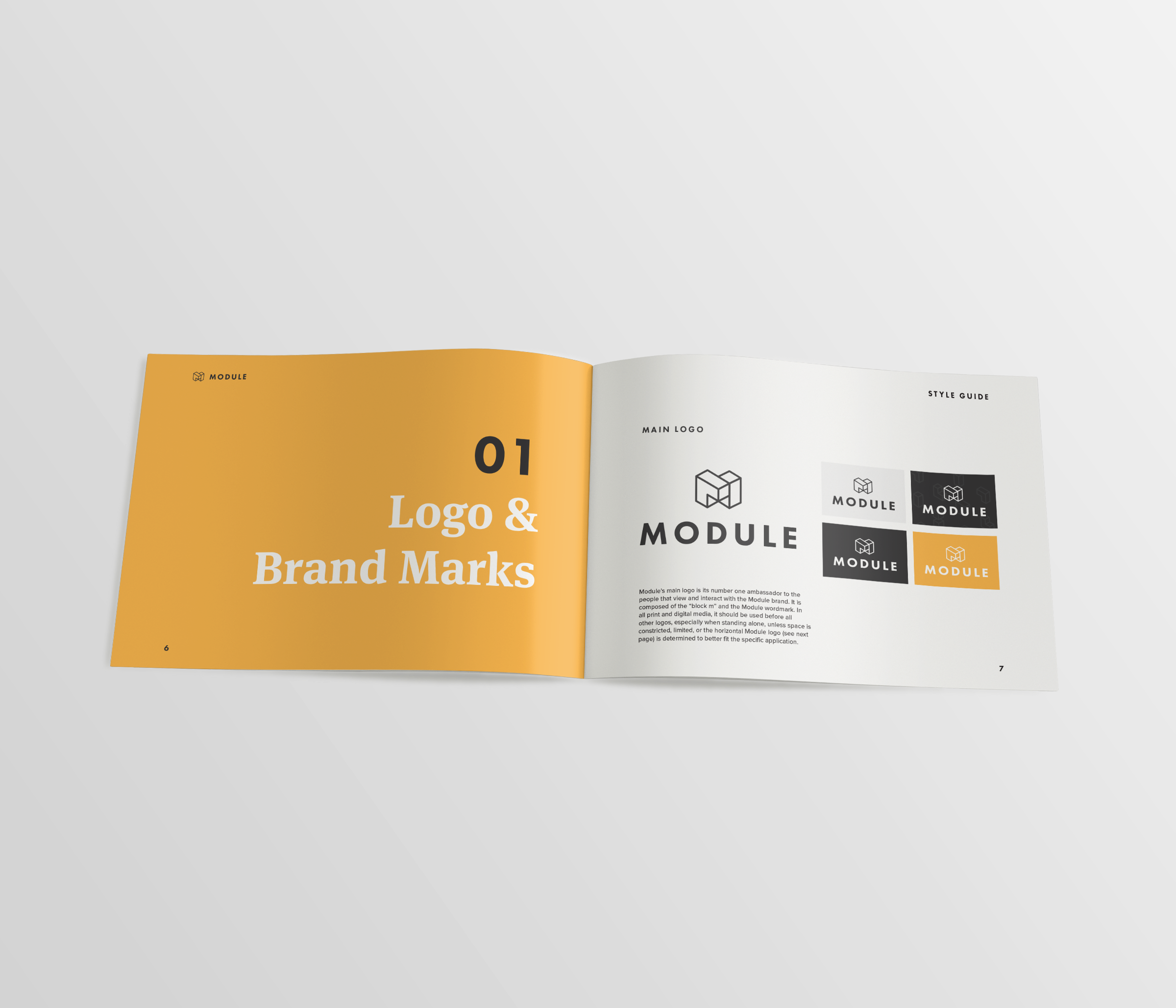 Branding Guidelines — Logo & Brand Marks