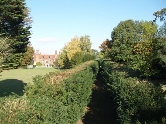 Hedge trimming after.jpg