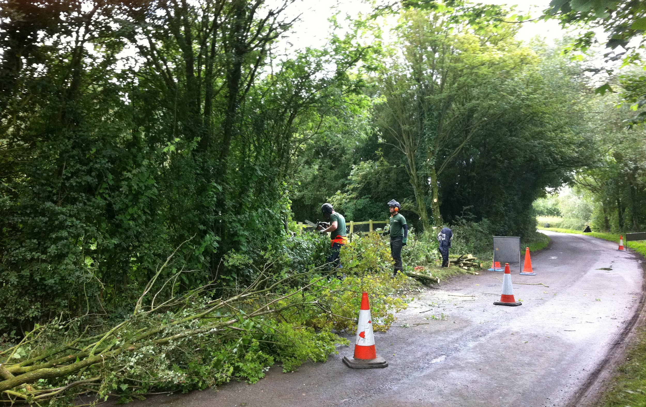 Greenacre_Trees_Landscapes_Roadside hedge work 2_picmonkeyed.jpg