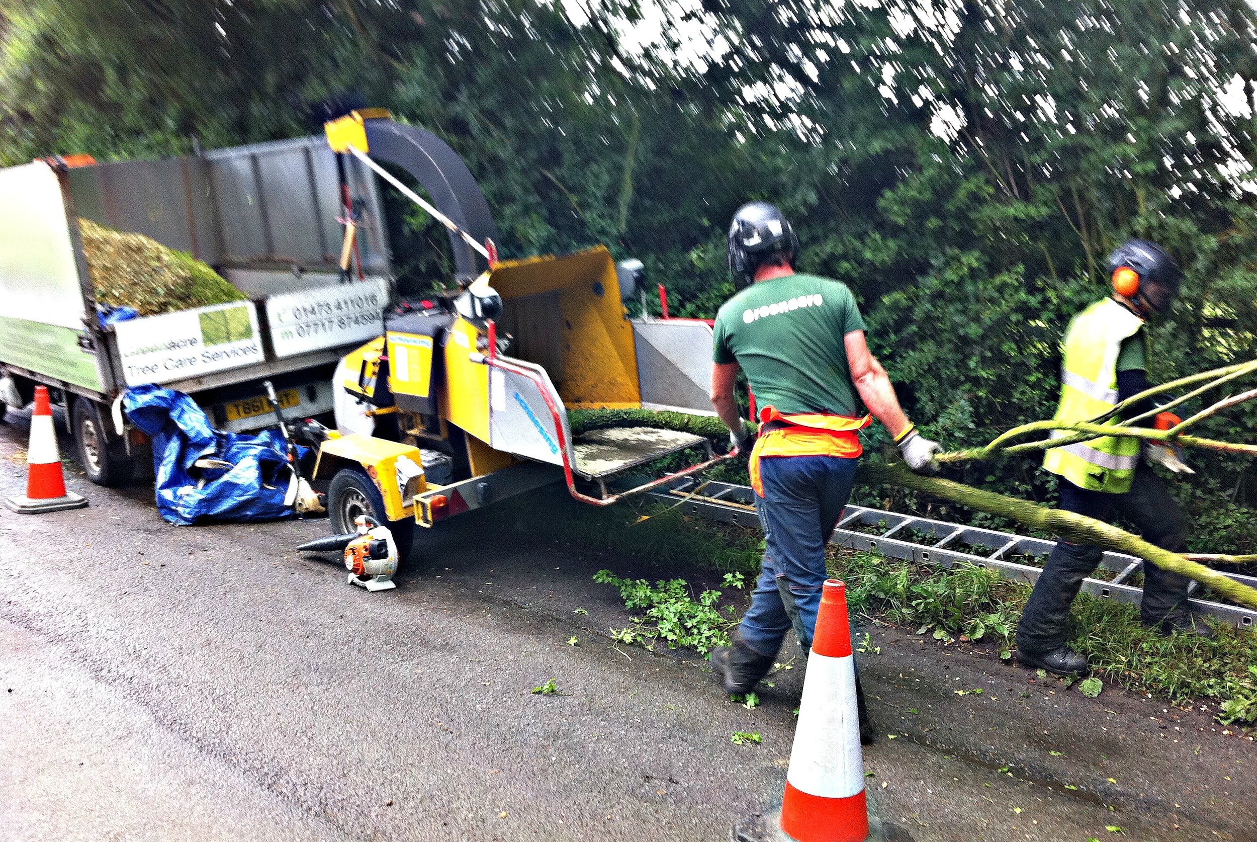Greenacre_Trees_Landscapes_Roadside hedge work 5_picmonkeyed.jpg