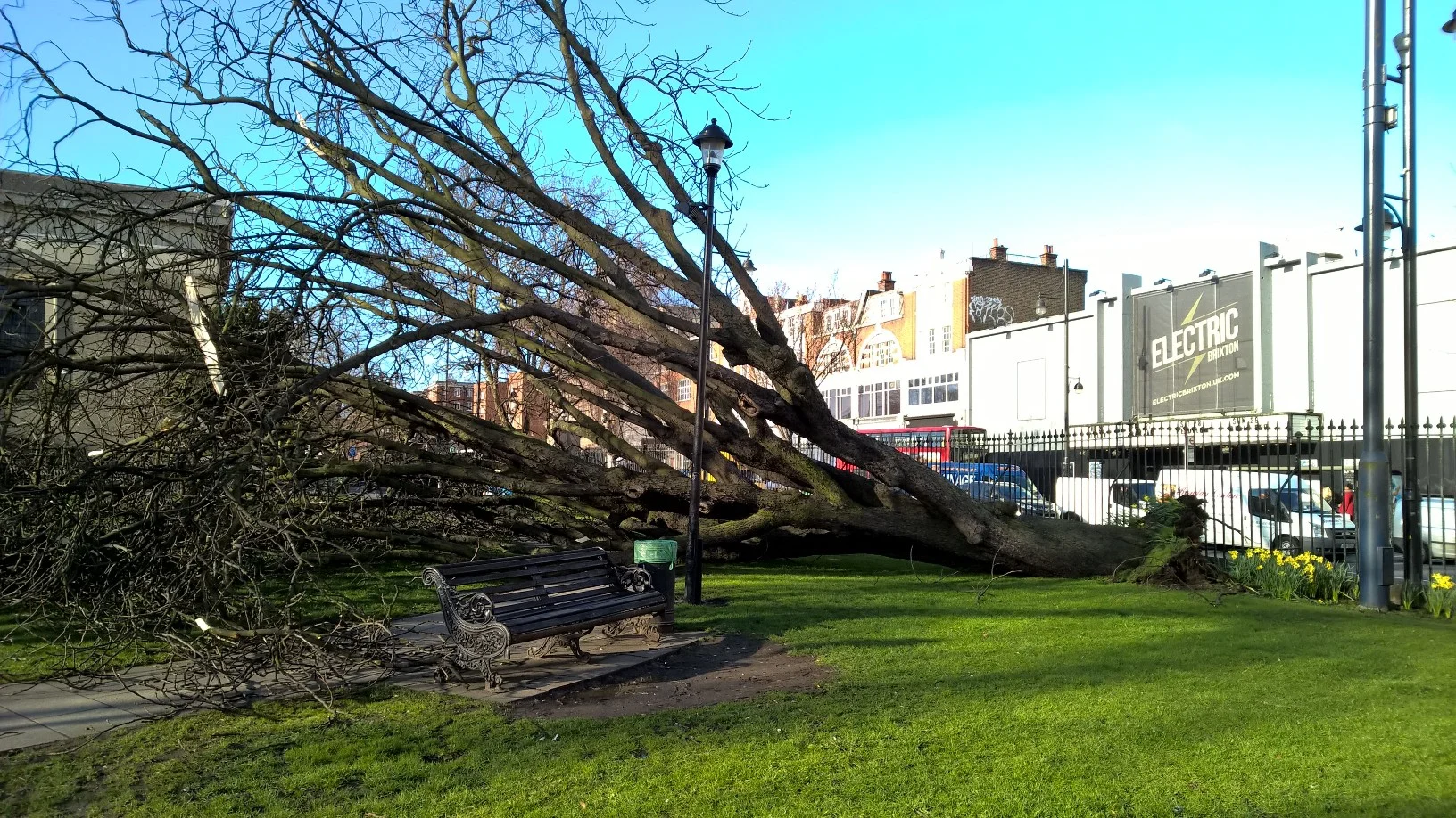Tree inspections – a practical day for arborists