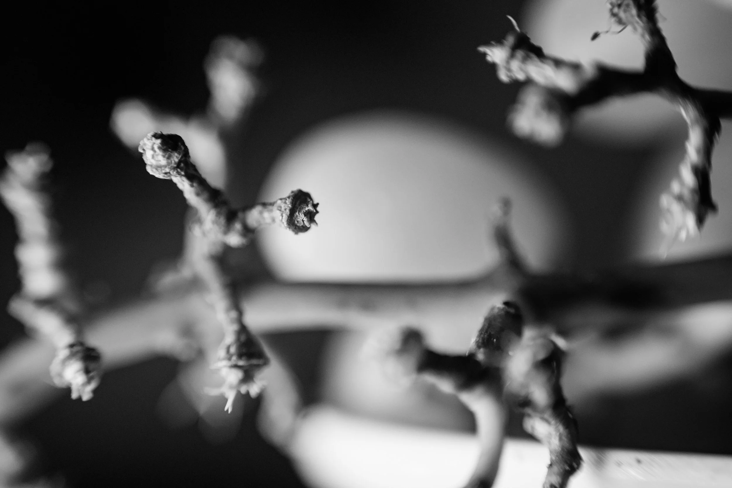 144/365 (24/05)