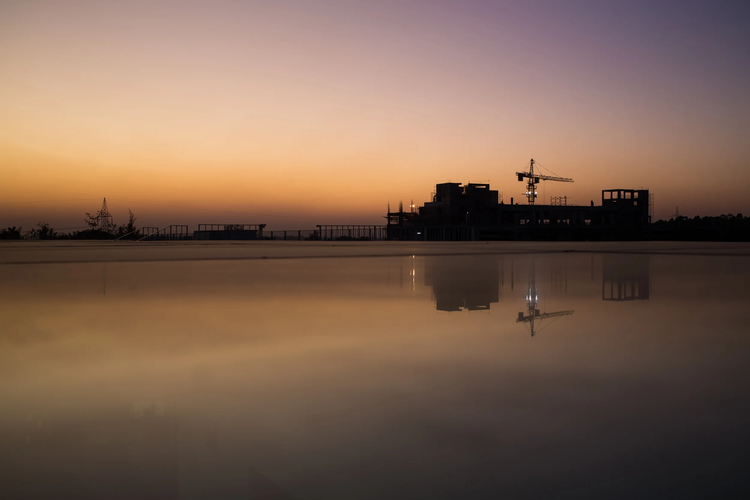 News - Wild tiger 10km from Bangalore?