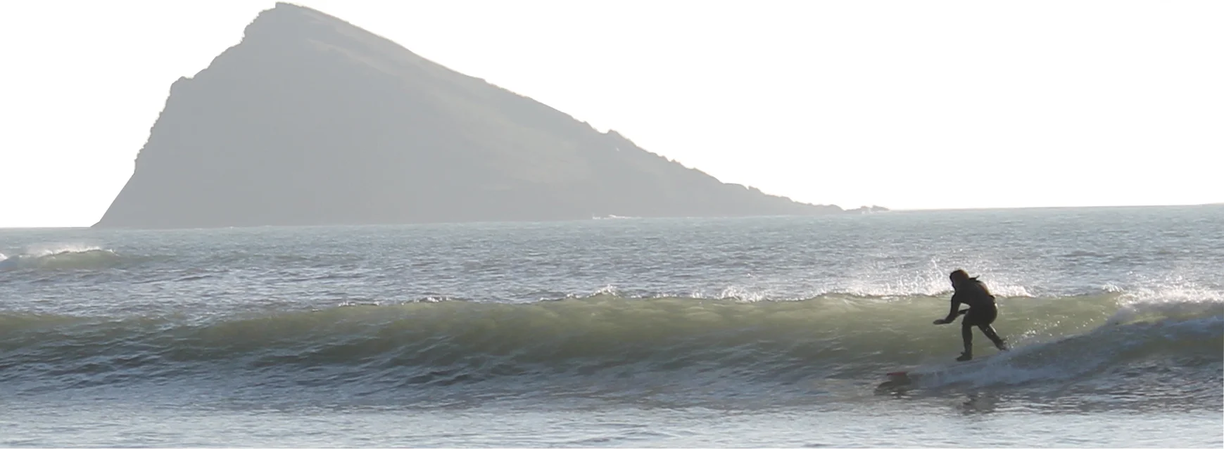 News - Crowd Sourcing Science