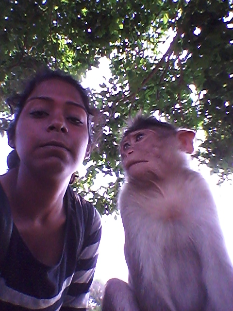 Monkey selfie!