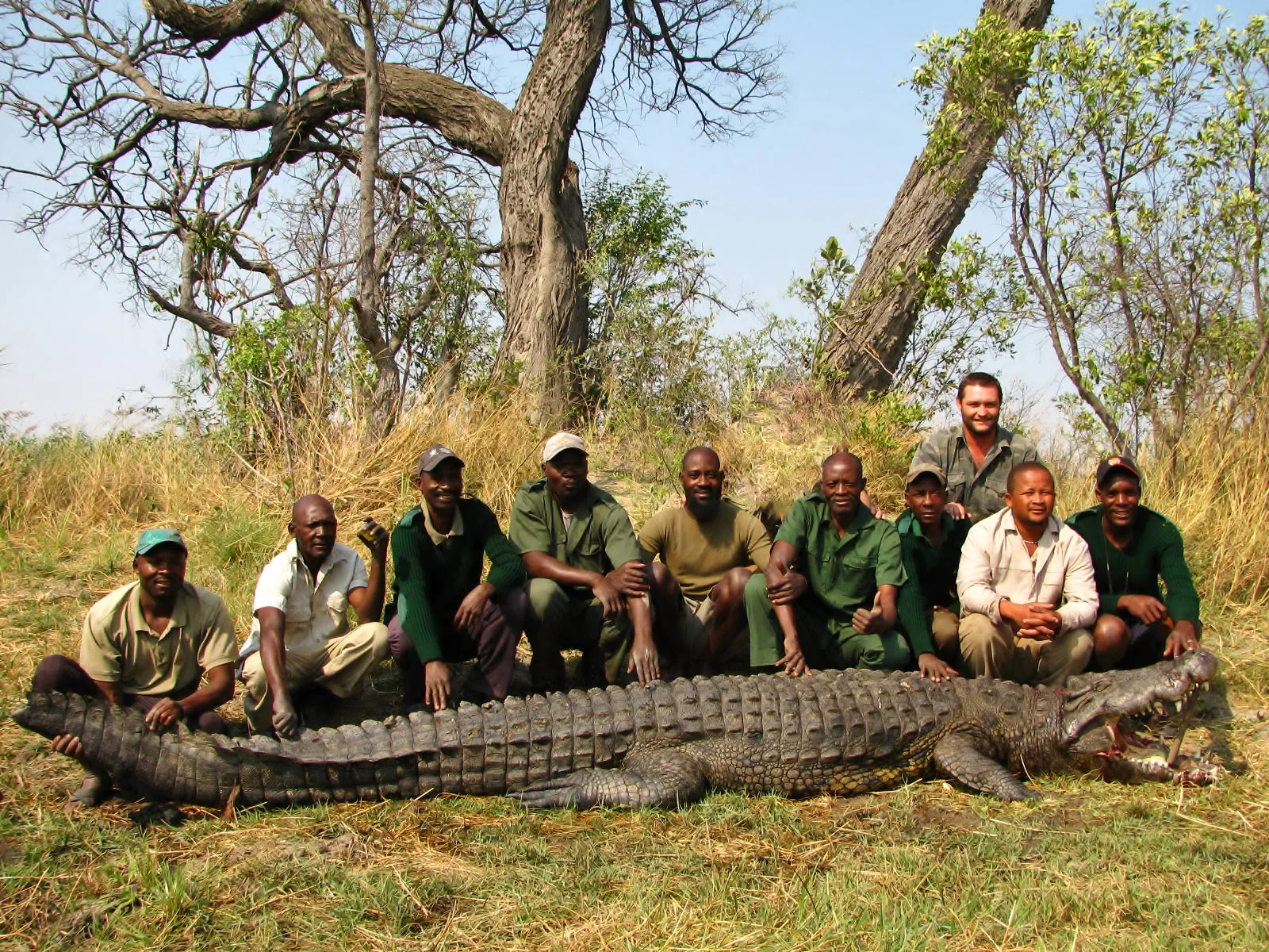 "A 15 foot man-eating croc with hunting party. This croc had killed well over 7 people."