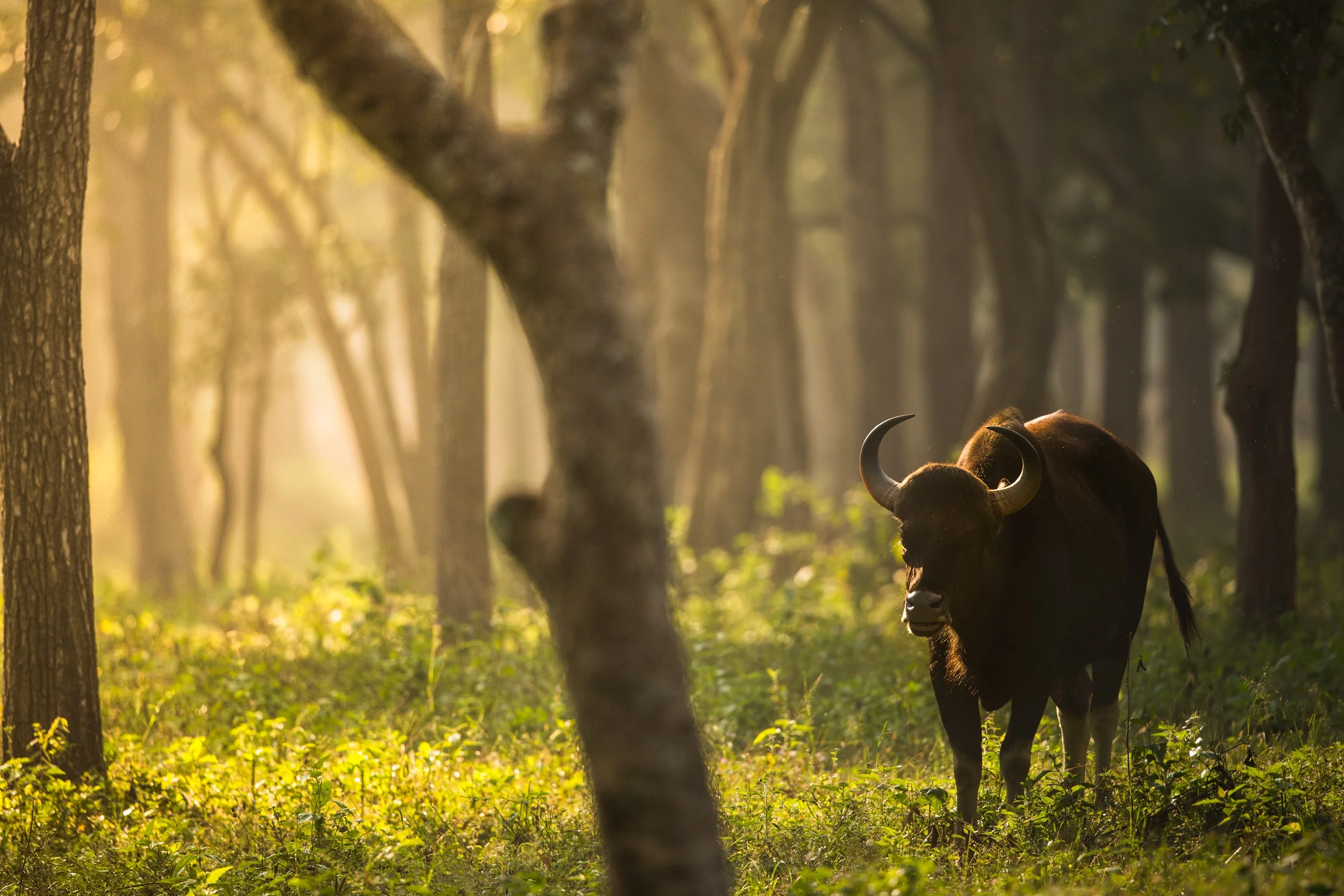 Quick-tips - Working on creativity