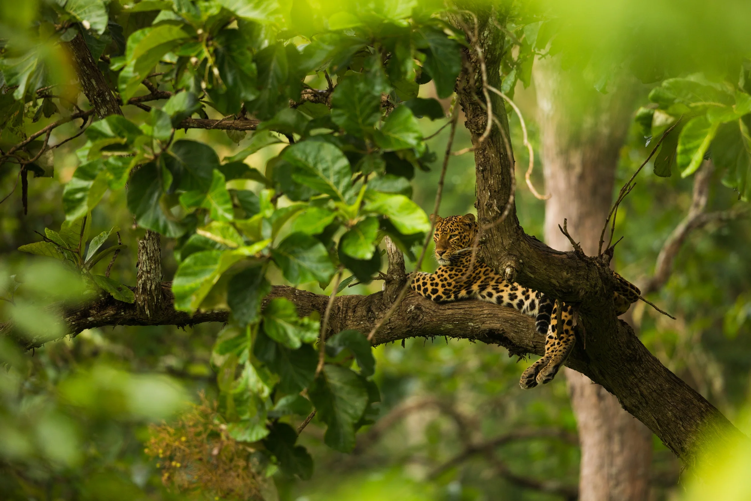 News - Spotted in the news