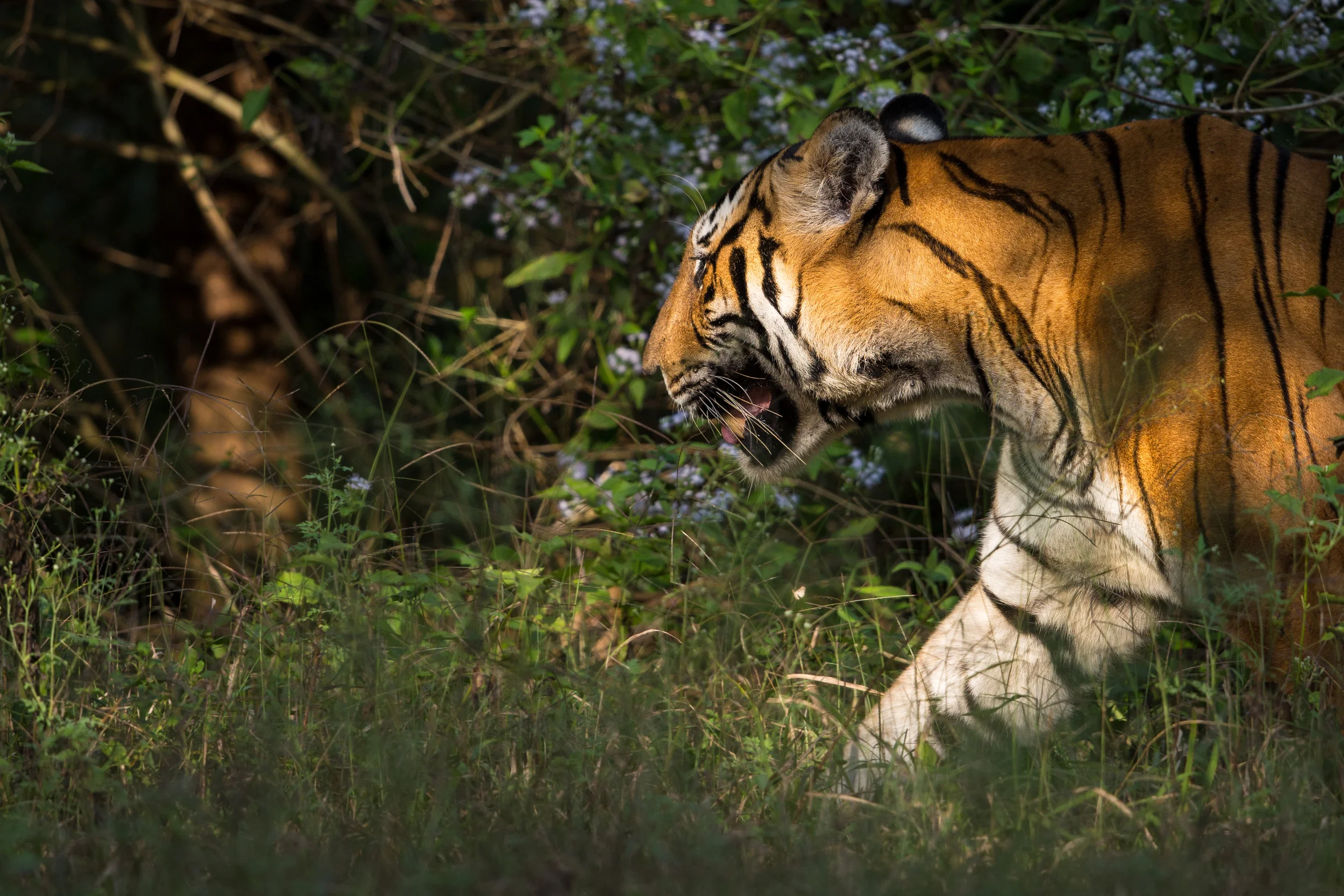 From start to finish #1 - A shot list & location