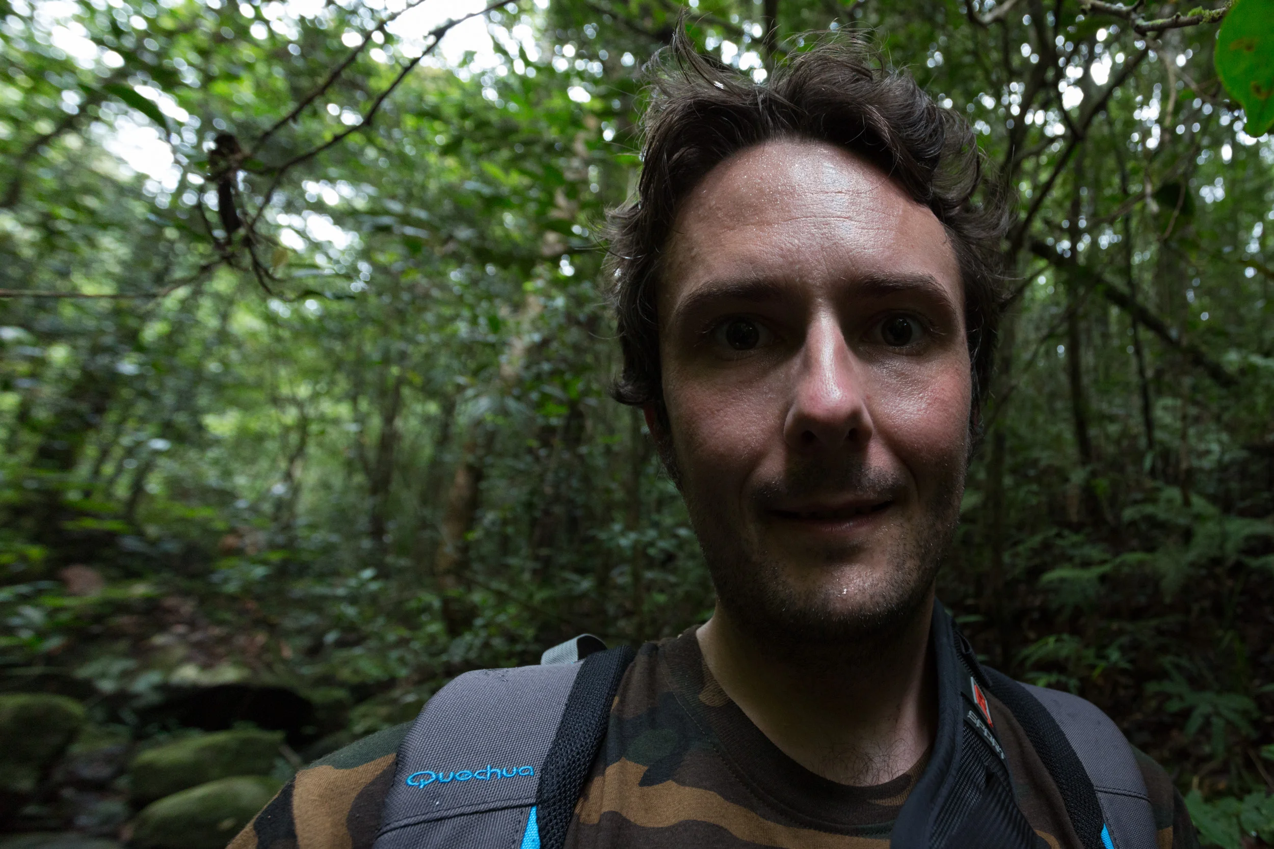 Travel - Sinharaja, Srilanka