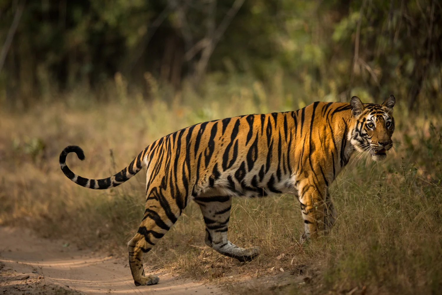 From start to finish #5 - Editing