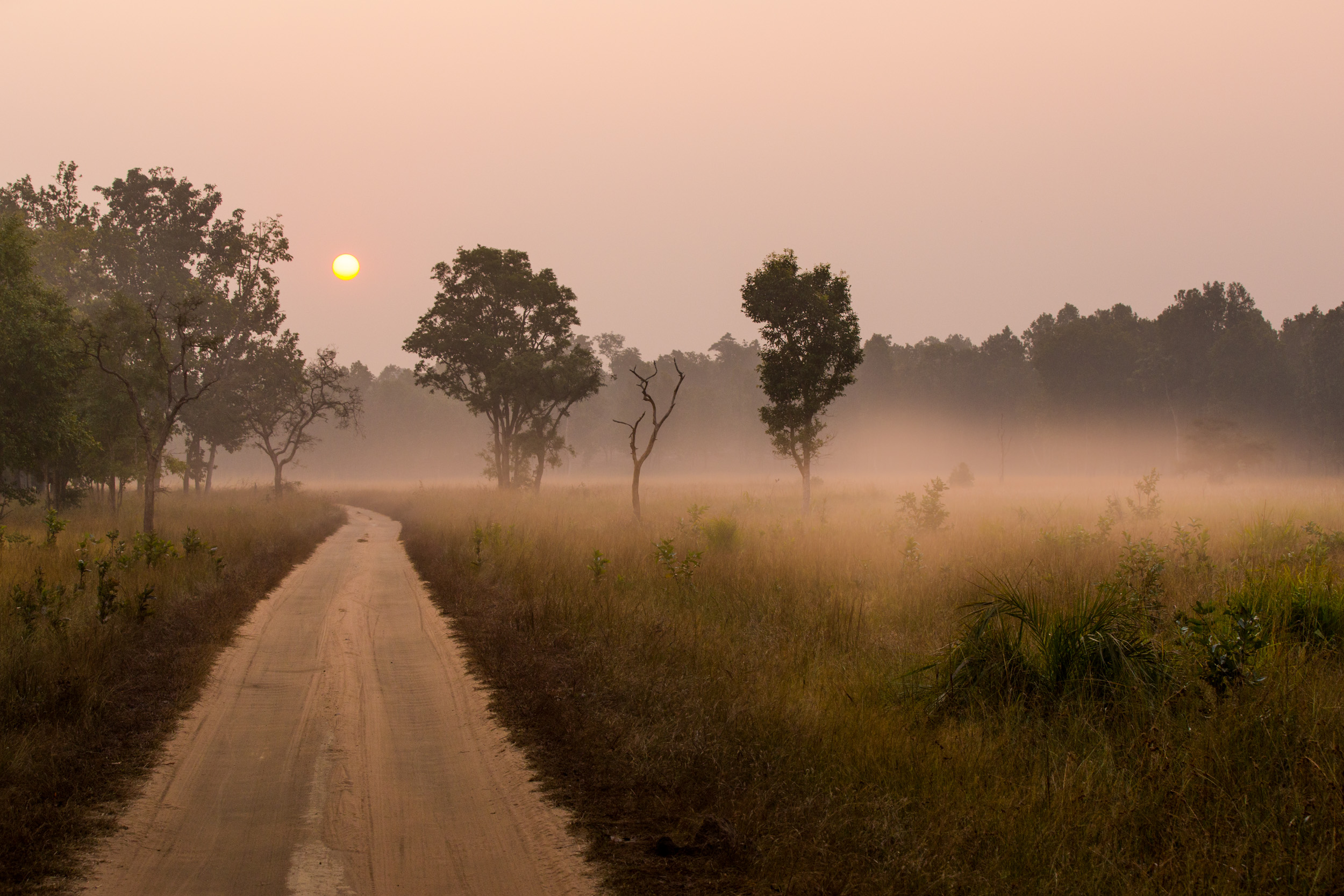 The sunrise and morning mists invites imagination. CLICK IMAGE for full screen.