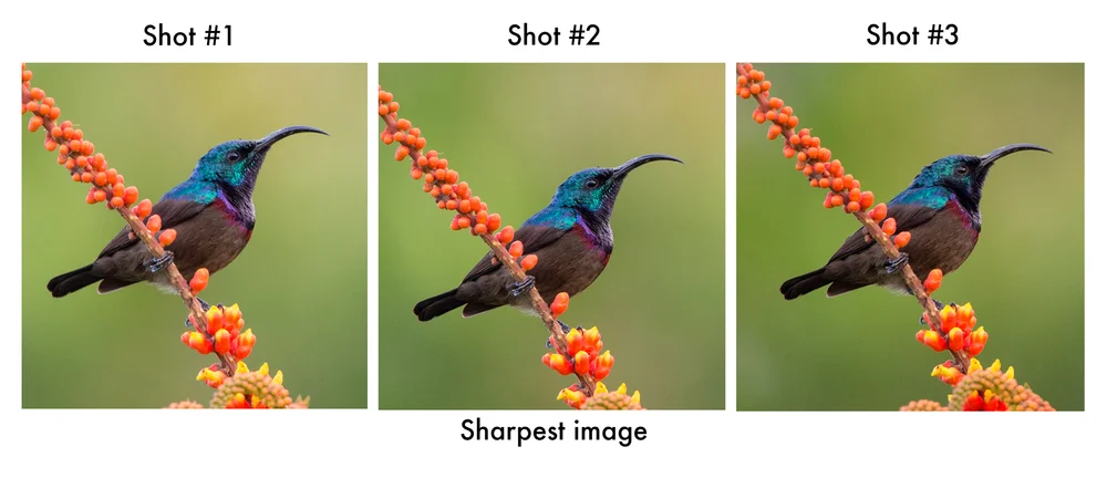 How to take sharper photos! — John Rowell Photography