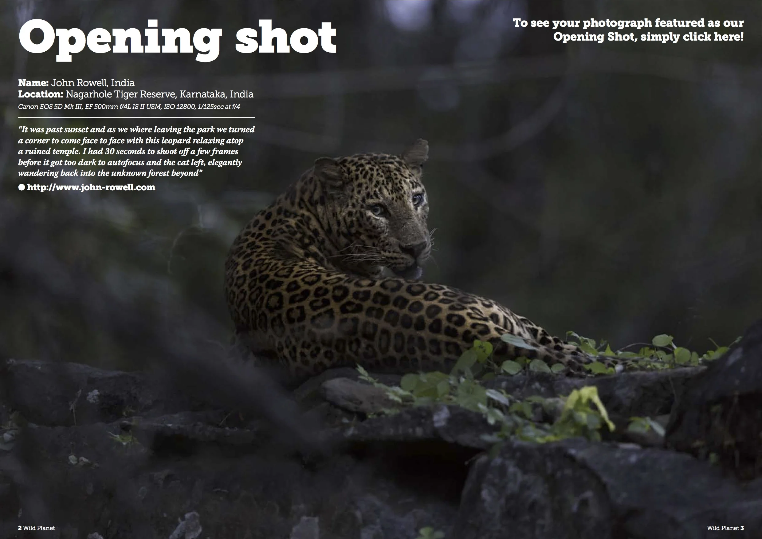 A pleasant surprise!