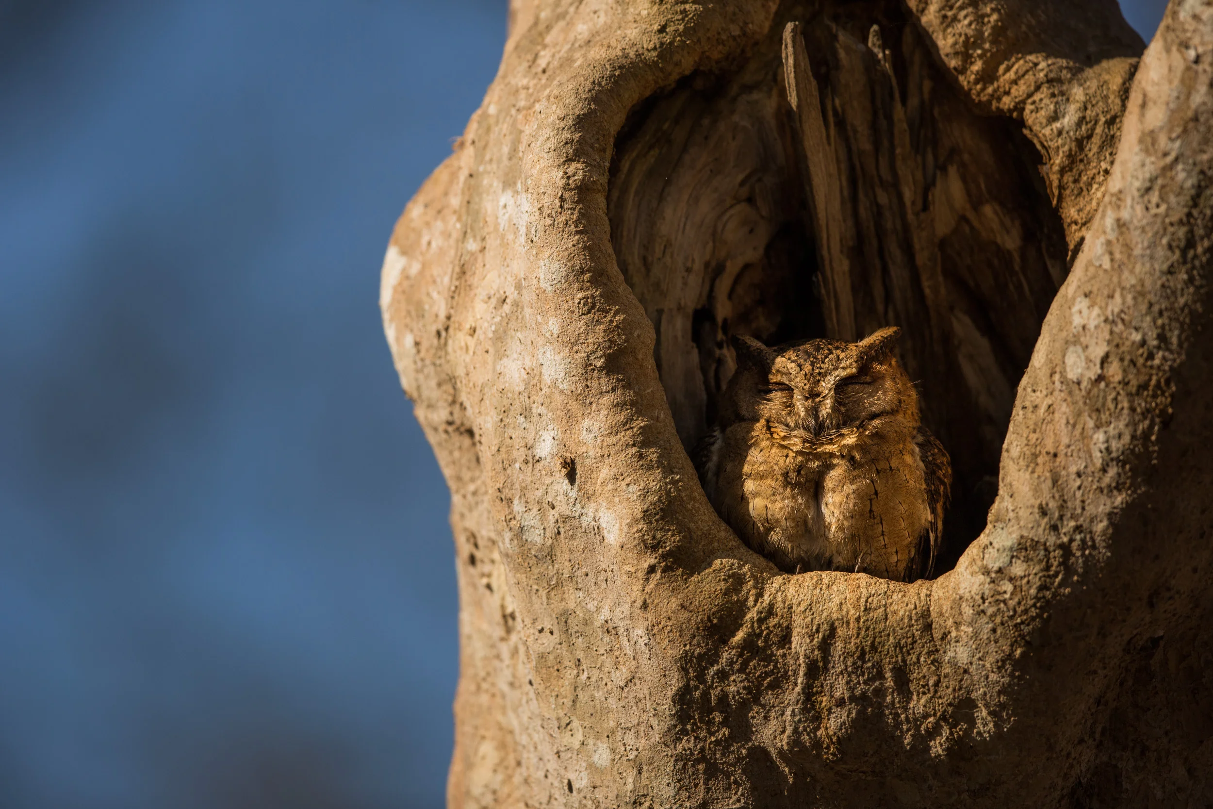 2/7 Nature Photography Challenge 