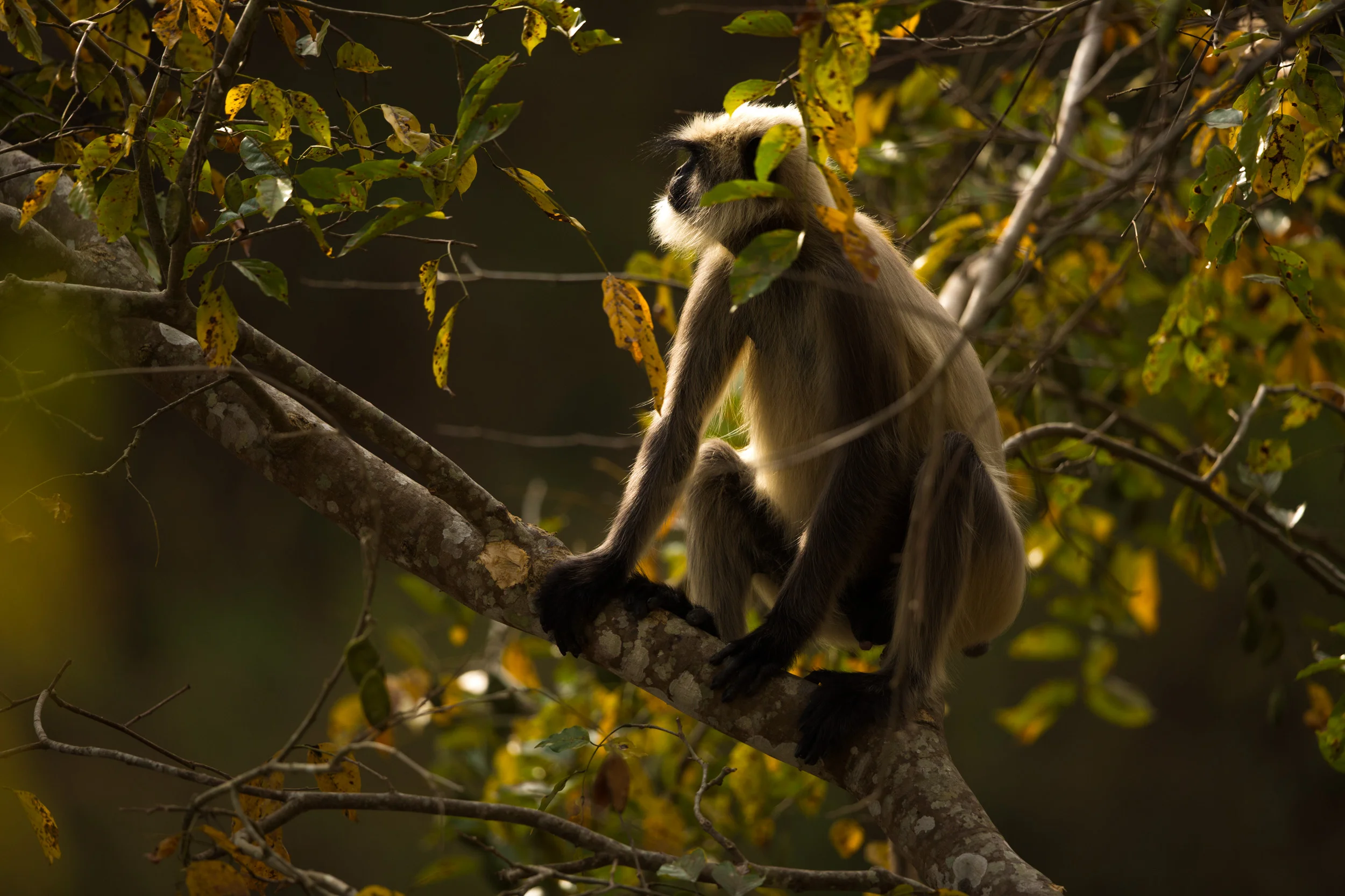 3/7 Nature Photography Challenge