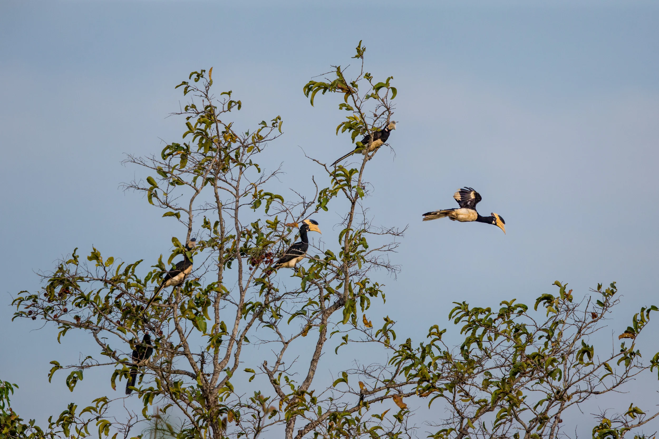 4/7 Nature photography challenge