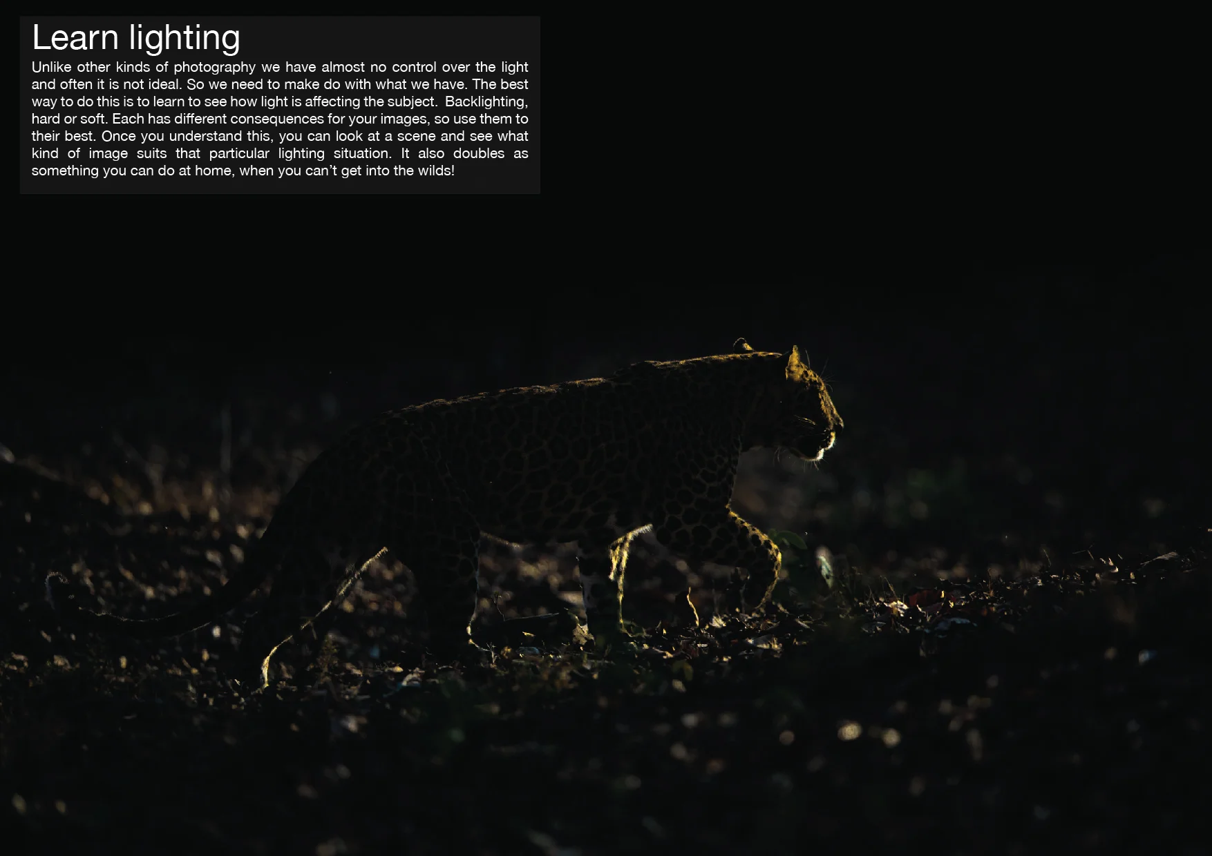 07 - Learn lighting
