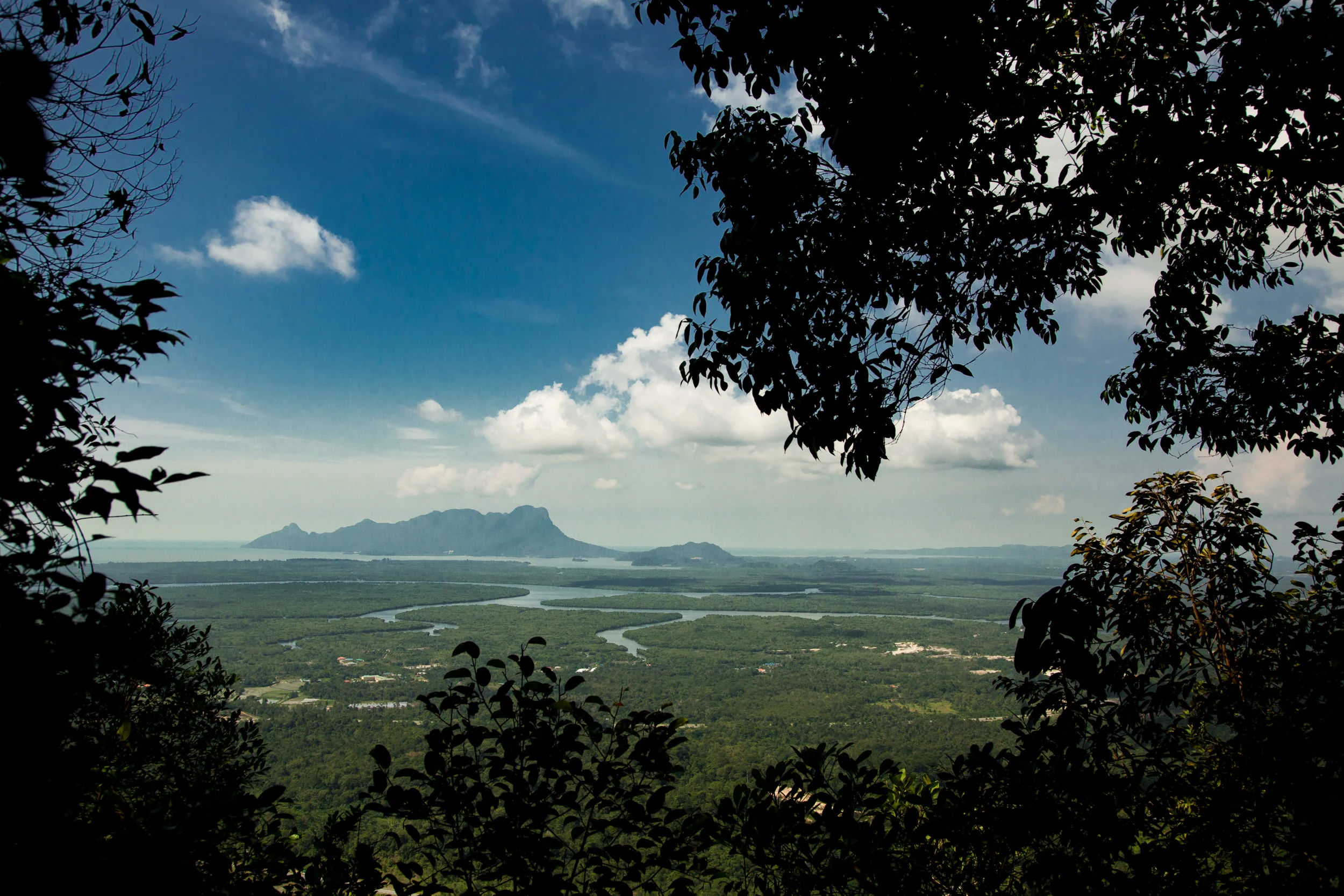 On the coast, where jungle and sea meet, the mangroves and salt waters harbour it's own wildlife.