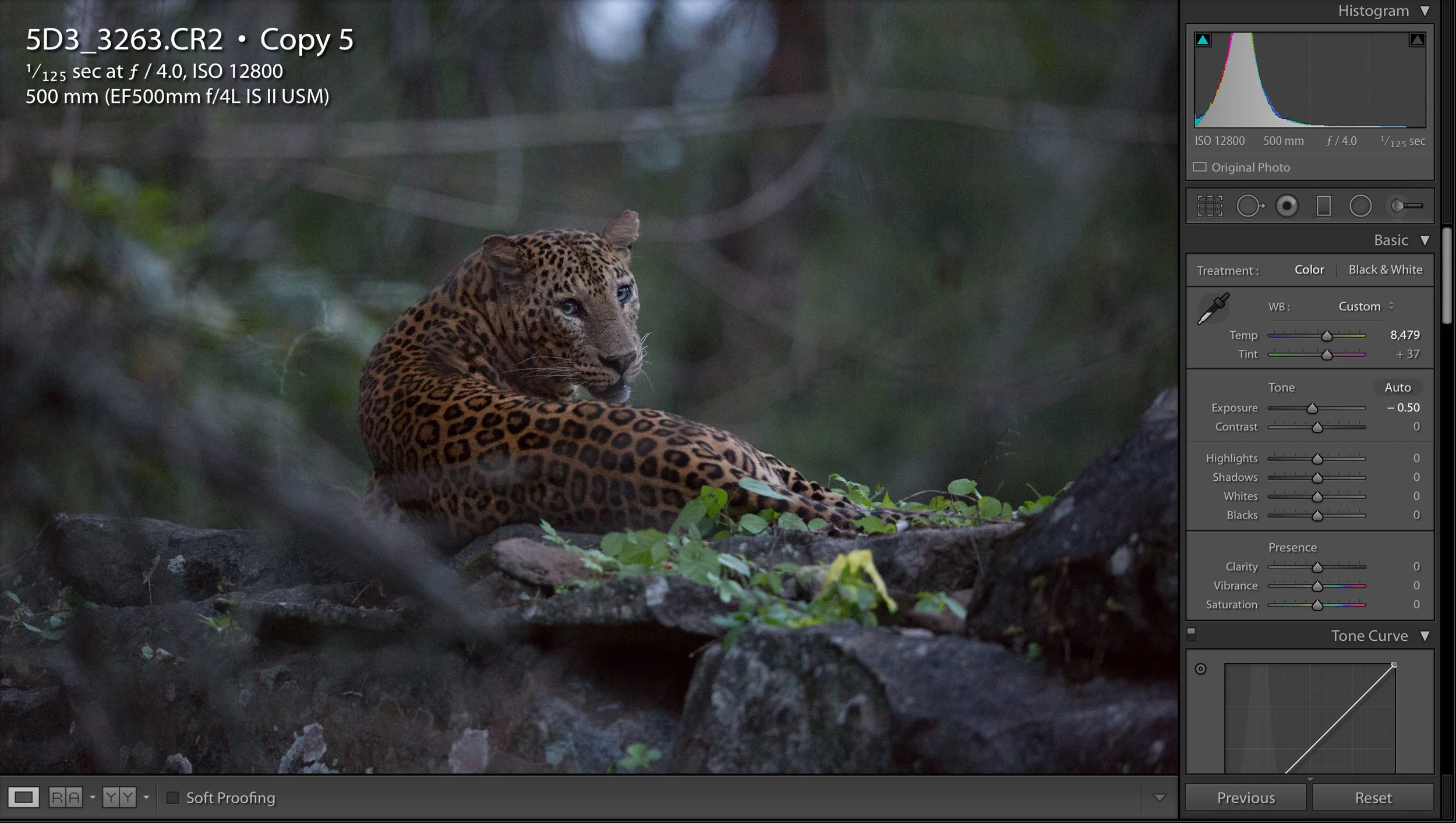 When changing the white balance you need to look at the scene as a whole.