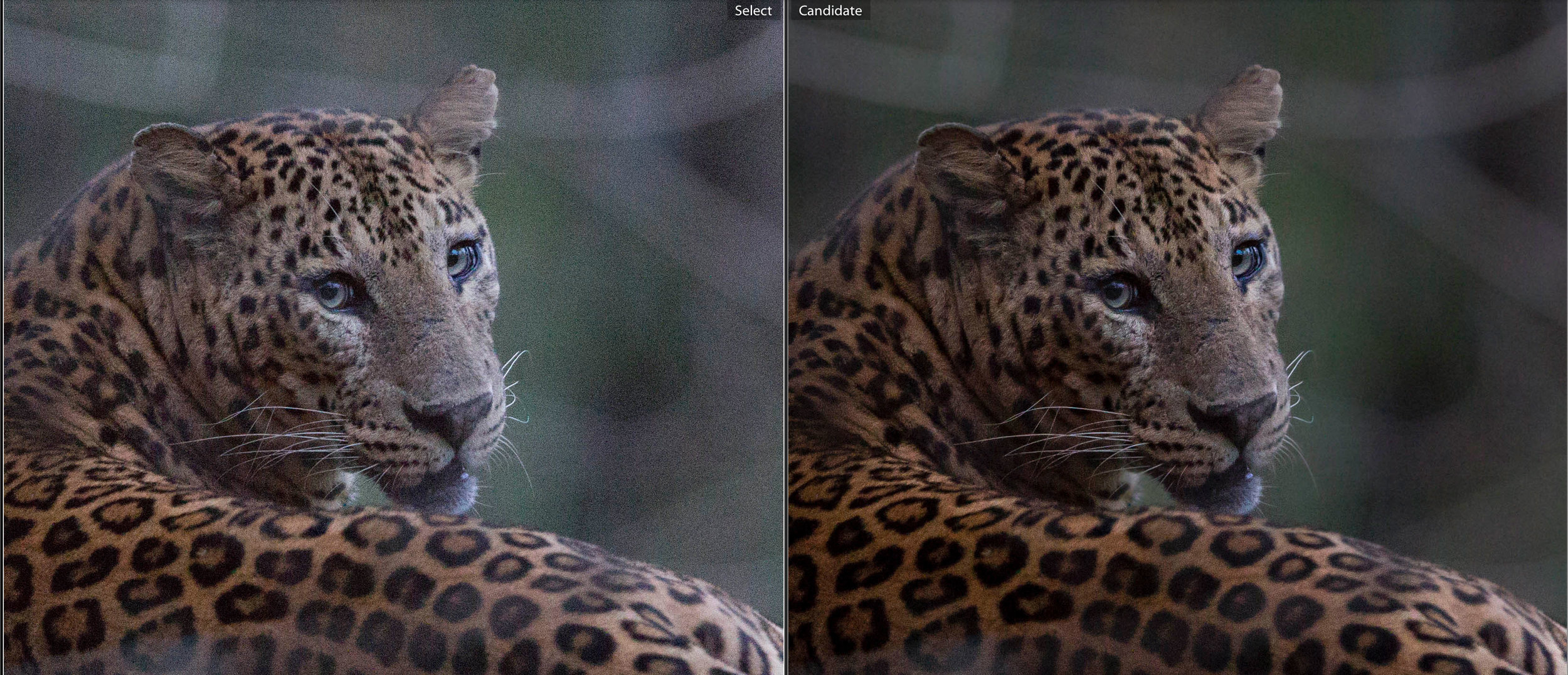 Before (left), and after (right) post-processing