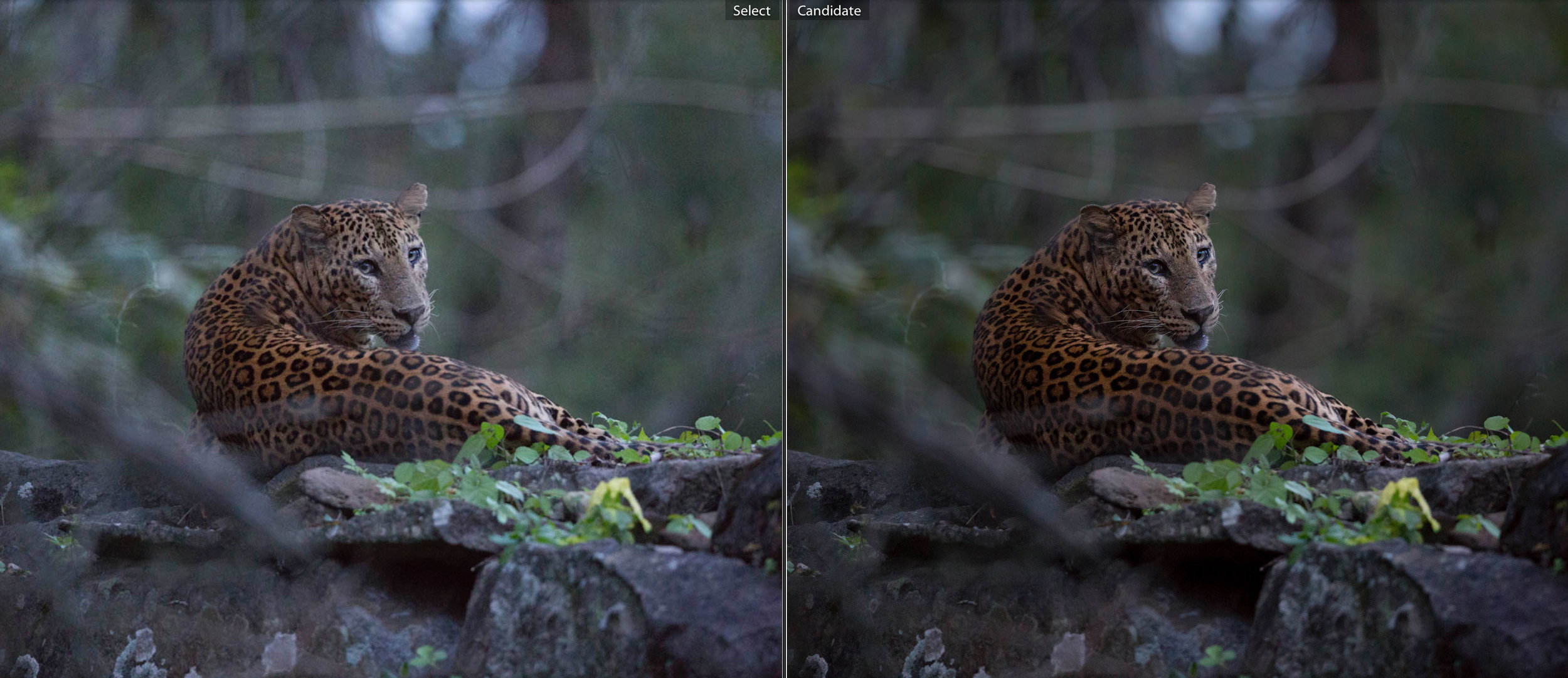  Before (left), and after (right) post-processing 