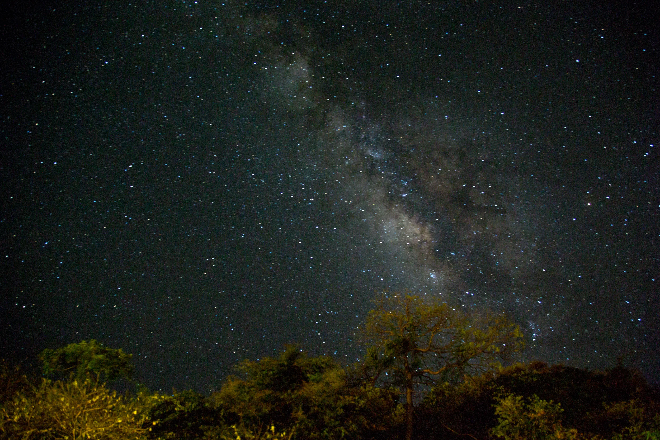 The Milky Way