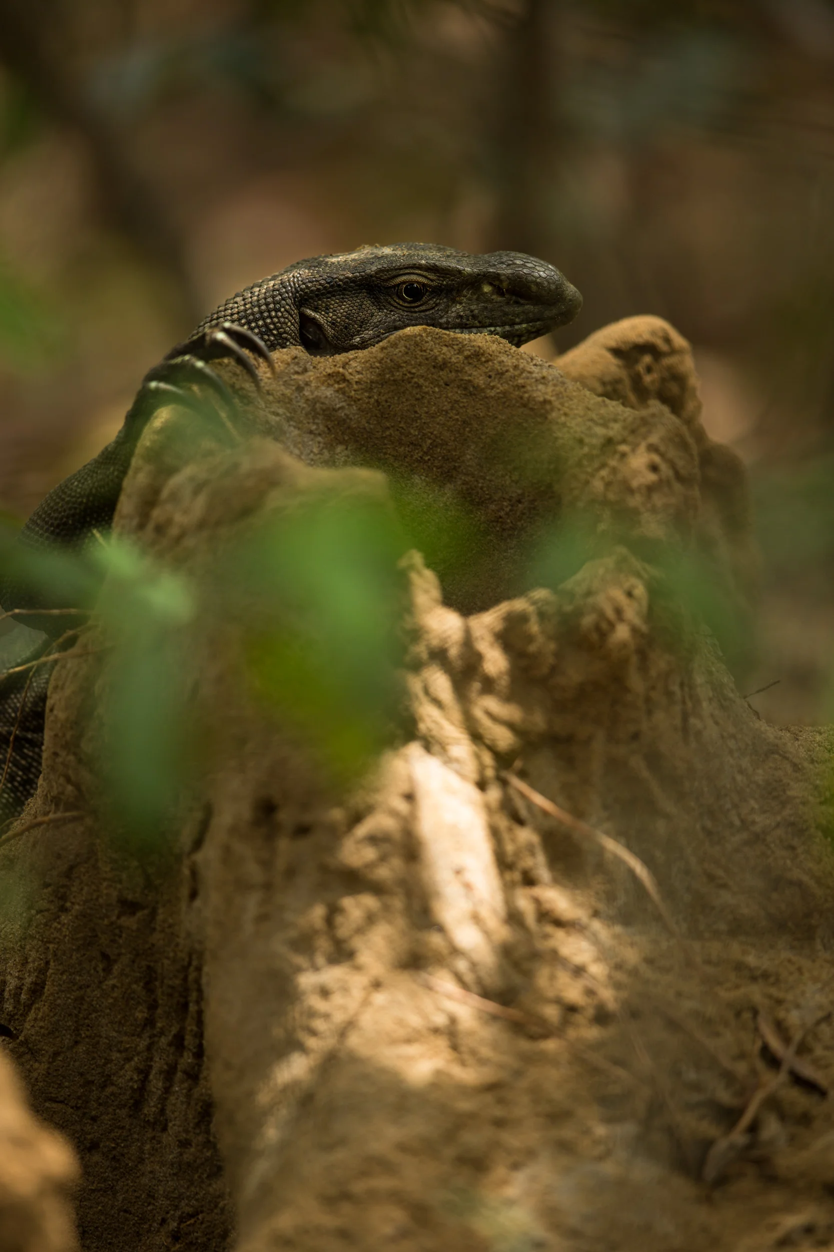 5D3_0903-3.jpg