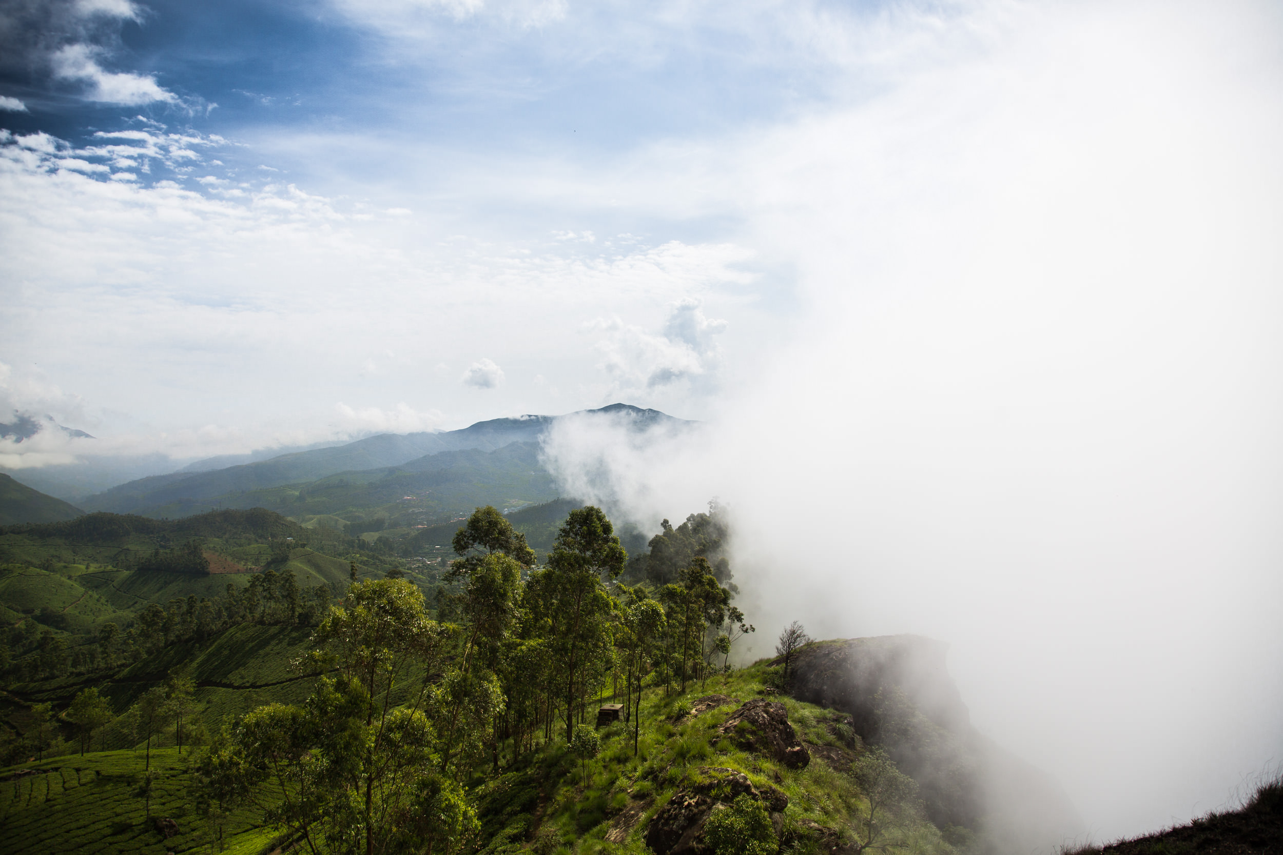  The climate is perfect for tea, and it mkaes for an amazing experience as the clouds roll in over the peaks and decend down into the plantations bellow. 