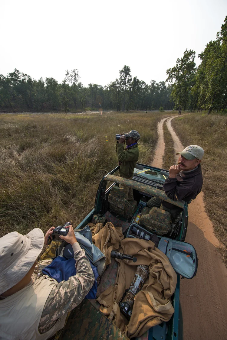 6 Wildlife safari hacks