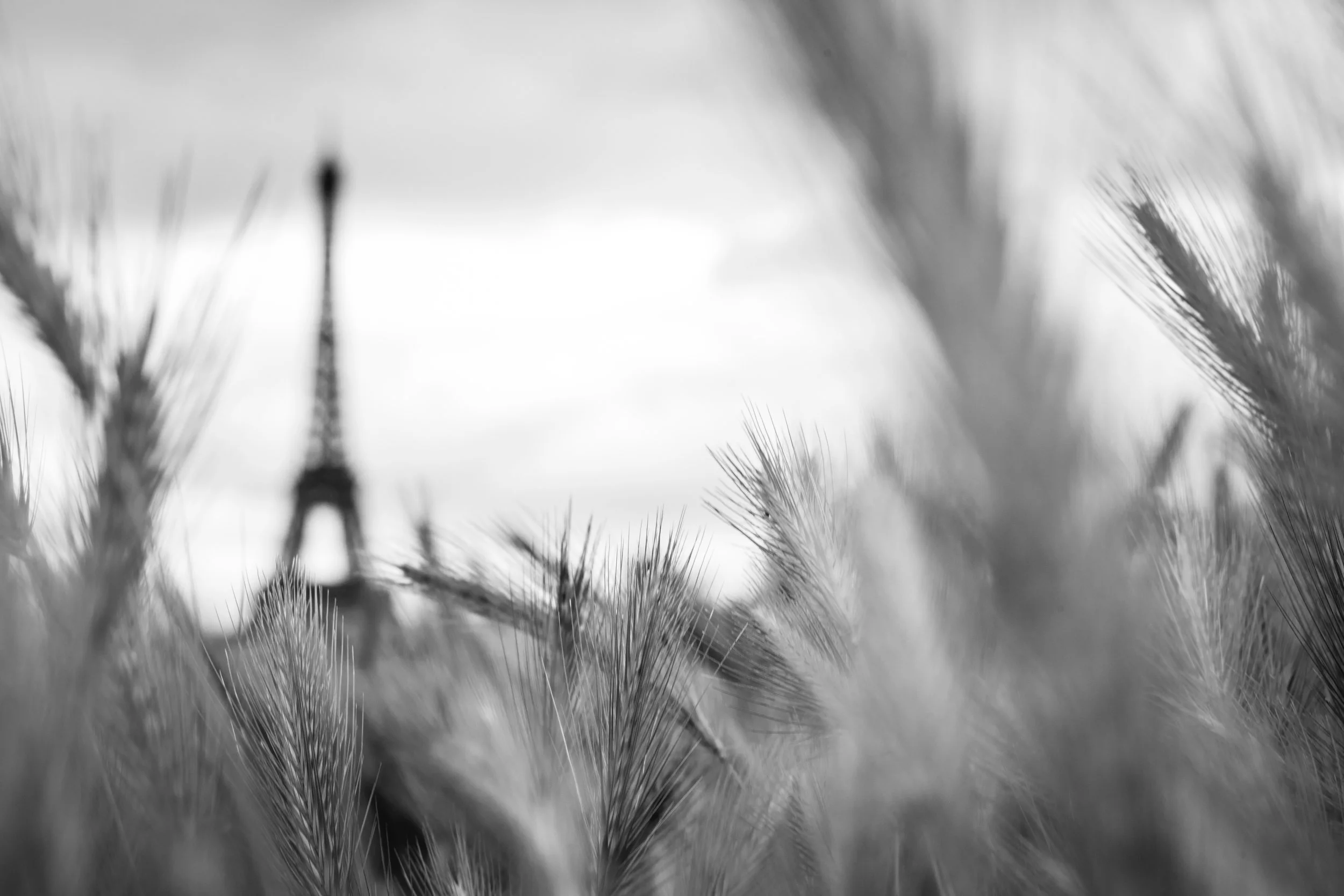 A stroll through Paris with a vintage lens